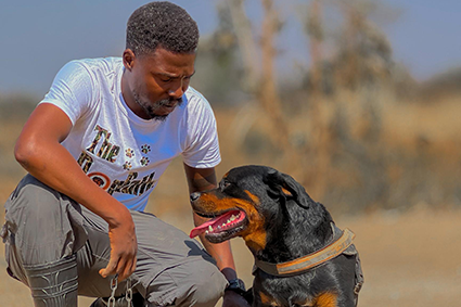 Puppy foundation and obedience training